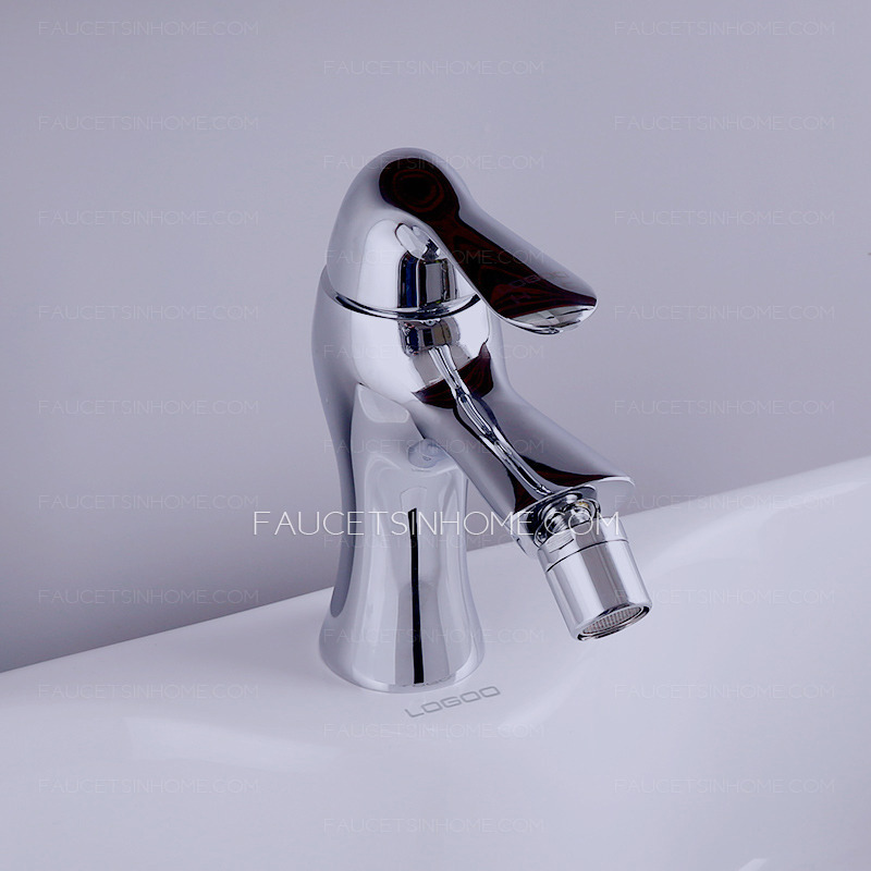 Modern Double Function Bidet Faucet For Women