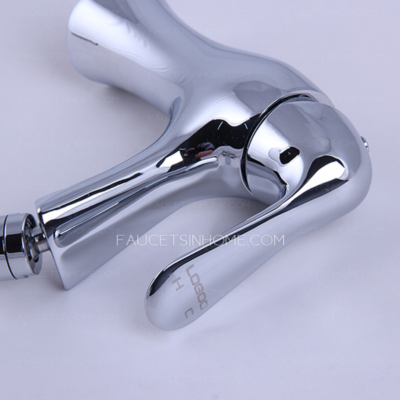 Modern Double Function Bidet Faucet For Women