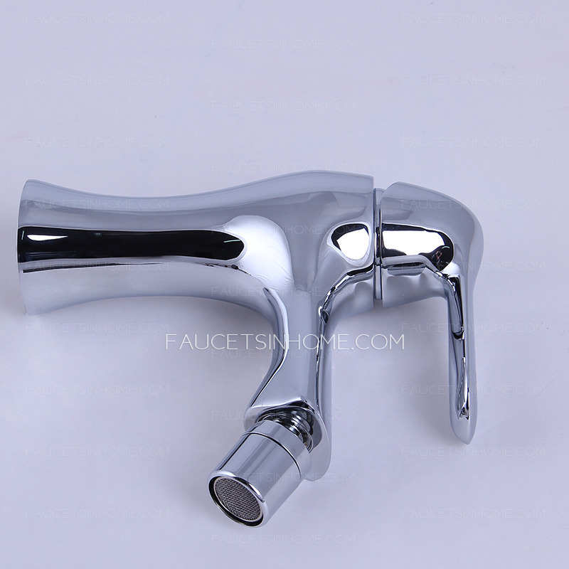 Modern Double Function Bidet Faucet For Women