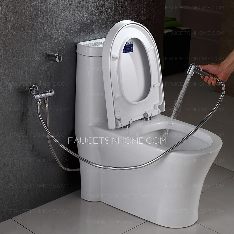 Modern Thick Handle Brass Holder Bidet Faucet