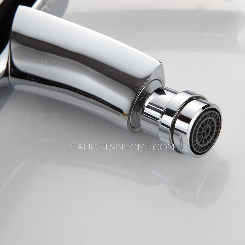 Top Rated Bidet Sink Faucet For Cold And Hot Water