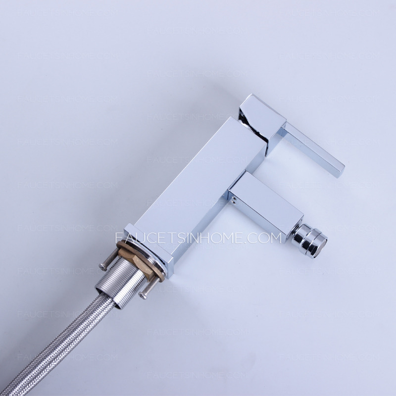 High End Bidet Sink Faucet With Rotatable Spout