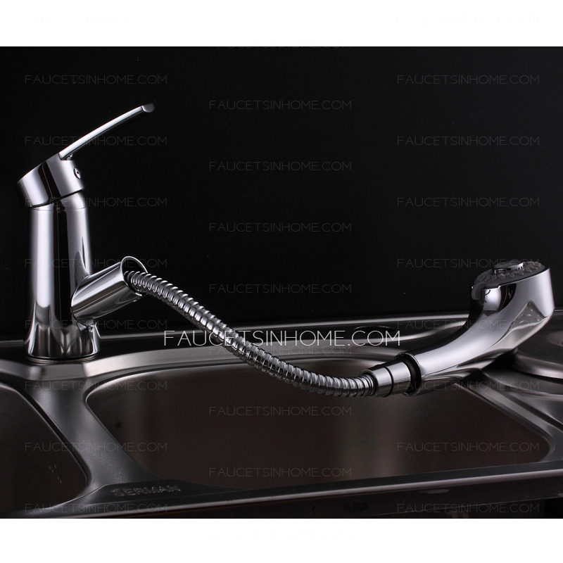 Modern Pullout Spray Dual Function Shower Bathroom Sink Faucet