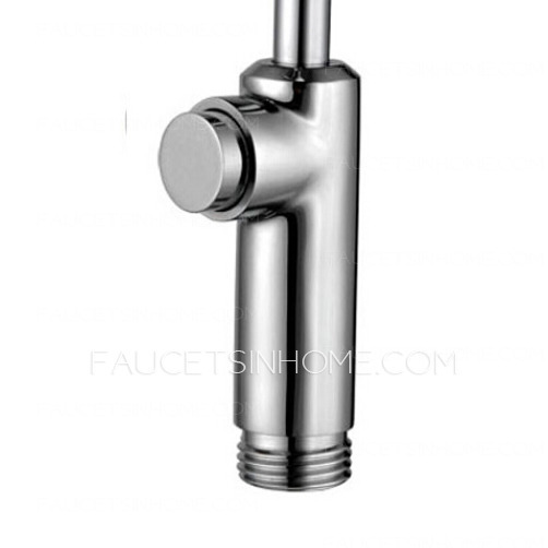 Designed Press Button Wall Mount Hand Held Bidet Faucet