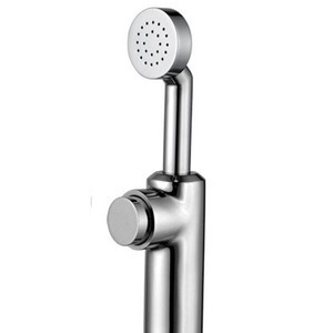 Designed Press Button Wall Mount Hand Held Bidet Faucet