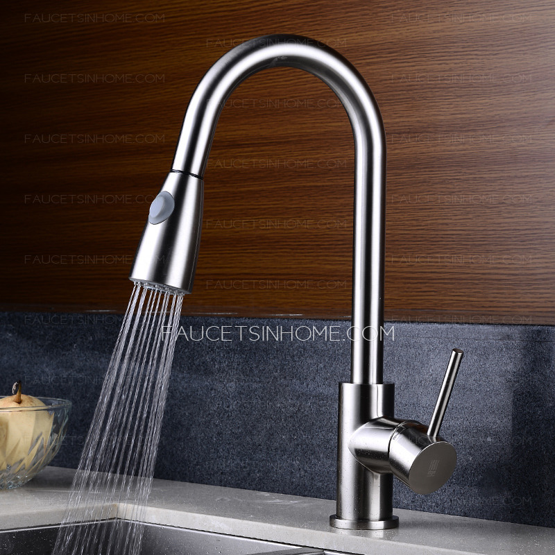 Professional Copper Pullout Two Type Water Kitchen Faucet