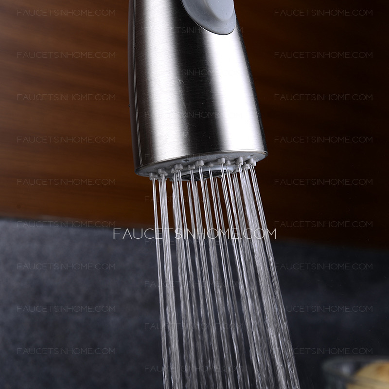 Professional Copper Pullout Two Type Water Kitchen Faucet