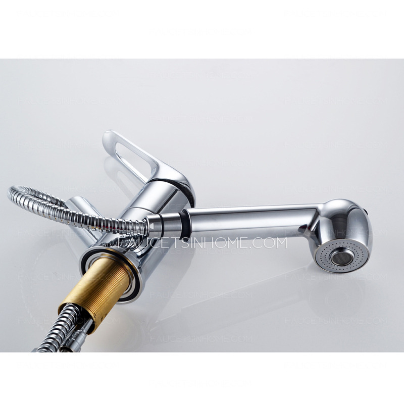 Professional Brass Lengthen Single Handle Kitchen Faucets With Pull Out Spray