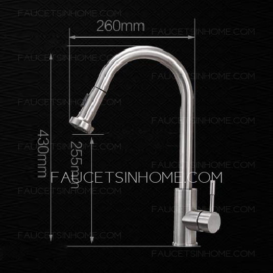 Designer Pull Out Stainless Steel Best Kitchen Faucets