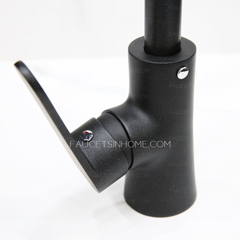 Simple Painting Goose Neck Shaped Black Faucet Kitchen