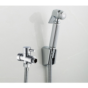 Bathroom Wall Mounted Electroplated Bidet Faucets