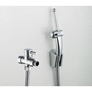 Unique ABS Brass Handle Portable  Wall Mounted Bidet Faucet