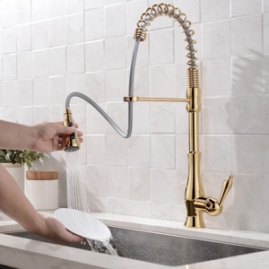 Polished Gold Single Handle Spring Kitchen Sink Faucet Pull Down Sprayer