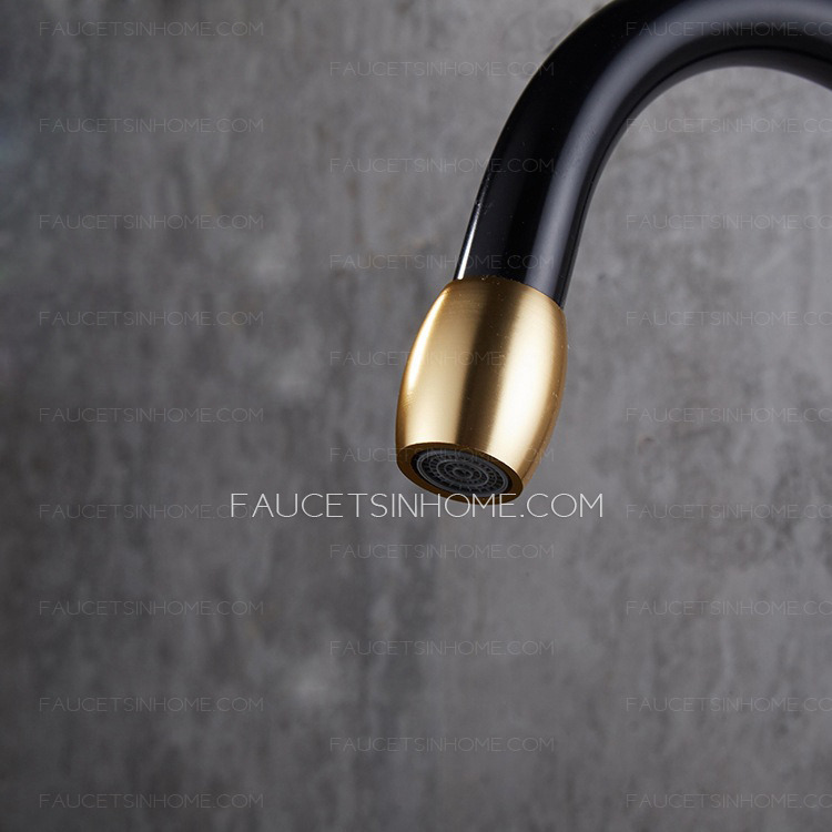 Modern Black And Gold Gooseneck Aluminum Kitchen Sink Faucet Simple